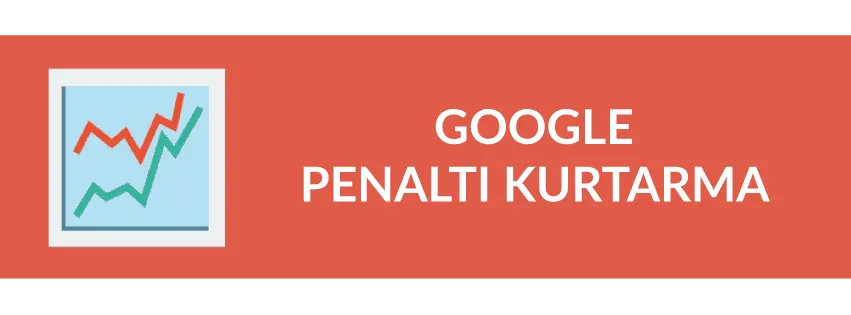 Bölüm 15: Web Sitesini Google Penaltı Cezasından Kurtarma