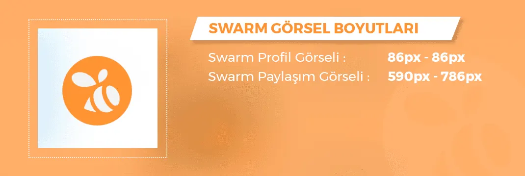 2019 Swarm By FourSquare Görsel Boyutları
