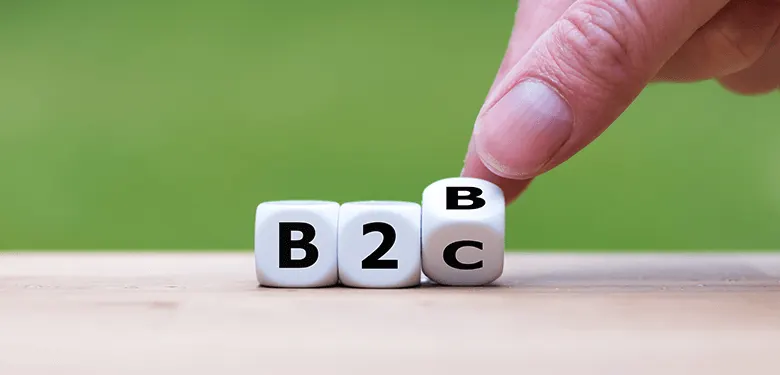 b2b ve b2c